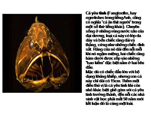 NHỮNG ĐV ĐÁNG SỢ