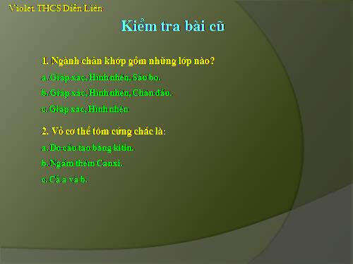 Bài 26. Châu chấu