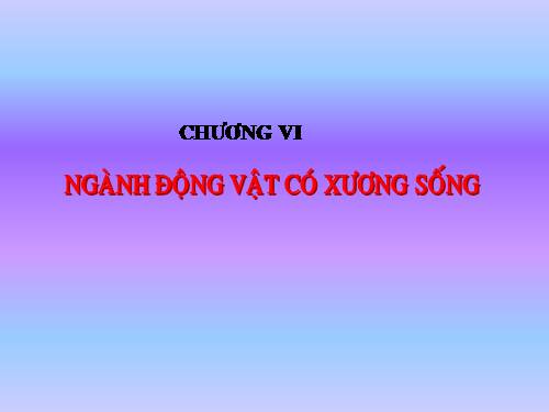 Bài 31. Cá chép