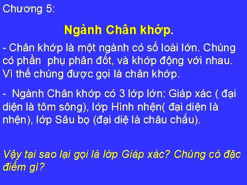 Bài 22. Tôm sông