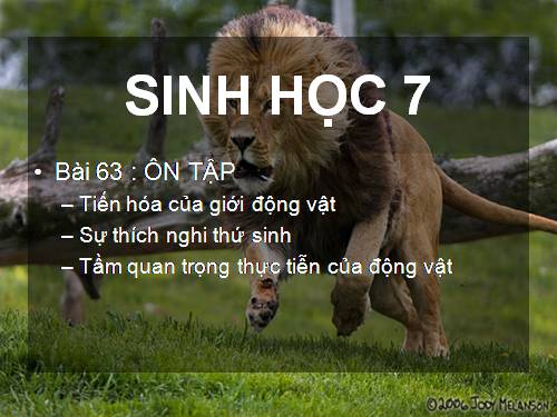 Bài 63. Ôn tập