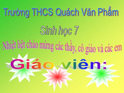 Bài 44. Đa dạng và đặc điểm chung của lớp Chim