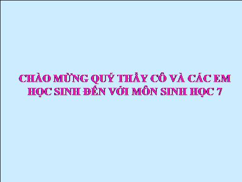Bài 61. Tìm hiểu một số động vật có tầm quan trọng trong kinh tế ở địa phương