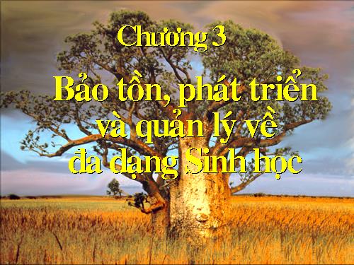 Bài 58. Đa dạng sinh học (tiếp theo)