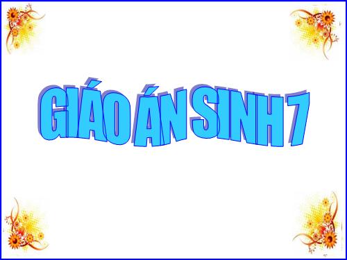 Bài 48. Đa dạng của lớp Thú: Bộ Thú huyệt, bộ Thú túi