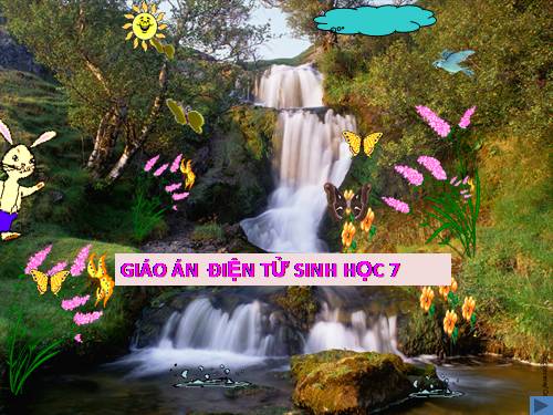 Bài 61. Tìm hiểu một số động vật có tầm quan trọng trong kinh tế ở địa phương