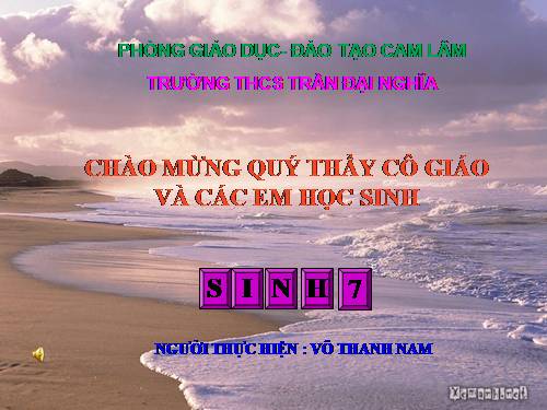 Bài 55. Tiến hoá về sinh sản