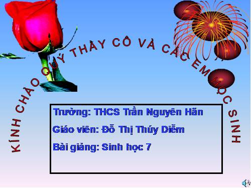 Bài 50. Đa dạng của lớp Thú: Bộ Ăn sâu bọ, bộ Gặm nhấm, bộ Ăn thịt