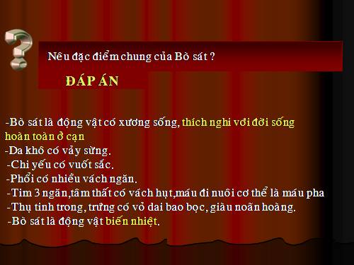 Bài 41. Chim bồ câu
