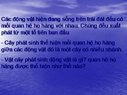 Bài 56. Cây phát sinh giới Động vật