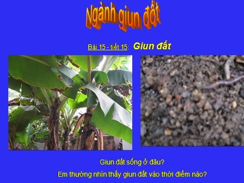 Bài 15. Giun đất