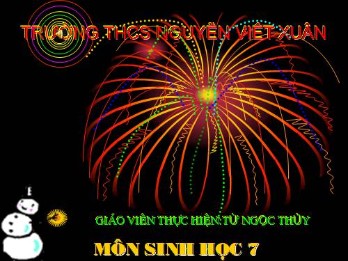 Bài 21. Đặc điểm chung và vai trò của ngành Thân mềm