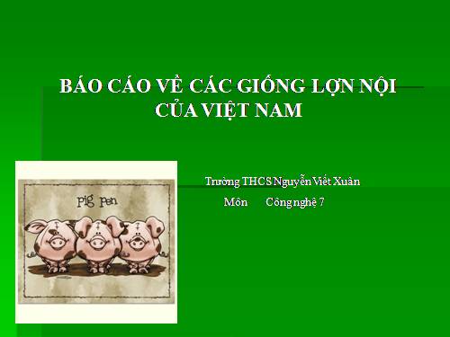 cac giong heo