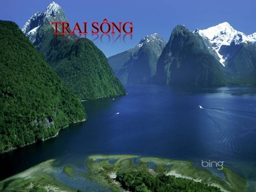 Bài 18. Trai sông