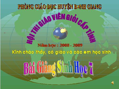 Bài 44. Đa dạng và đặc điểm chung của lớp Chim