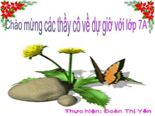 Bài 48. Đa dạng của lớp Thú: Bộ Thú huyệt, bộ Thú túi
