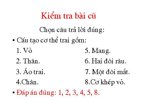 Bài 19. Một số thân mềm khác