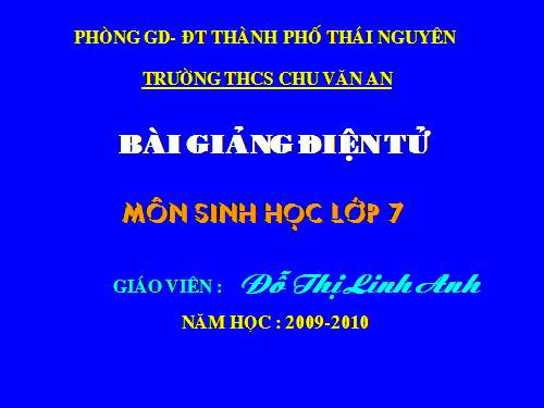 Bài 50. Đa dạng của lớp Thú: Bộ Ăn sâu bọ, bộ Gặm nhấm, bộ Ăn thịt