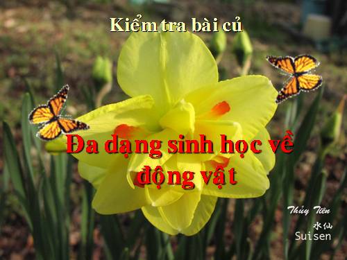 tu lieu phuc vu tiet 60 da dang sinh hoc