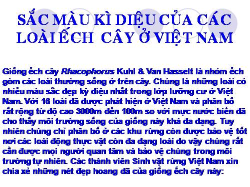 Sắc màu kì diệu của ếch cây VN