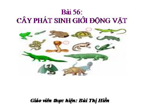 Bài 56. Cây phát sinh giới Động vật