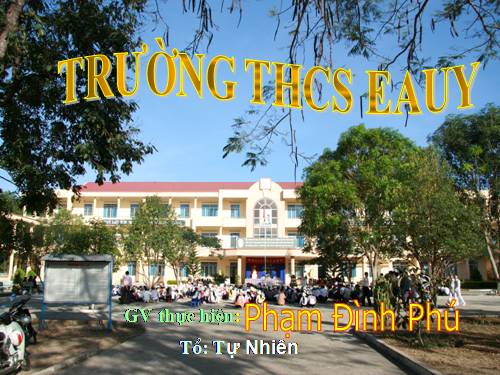 Bài 54. Tiến hoá về tổ chức cơ thể