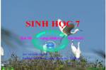 Bài 58. Đa dạng sinh học (tiếp theo)