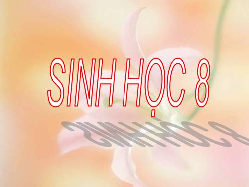 bai 59 sinh 8