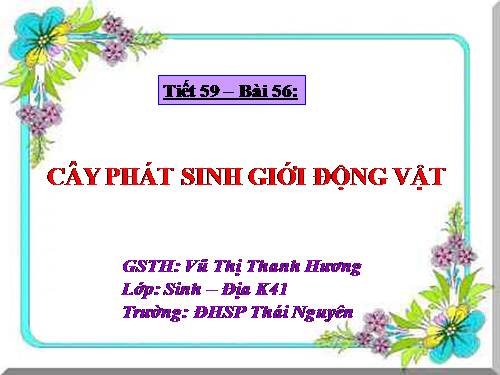 Bài 56. Cây phát sinh giới Động vật