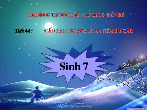 Bài 43. Cấu tạo trong của chim bồ câu