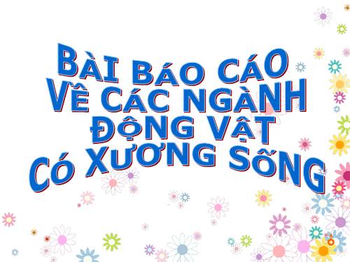 hình ảnh đẹp về động vật có xương sống