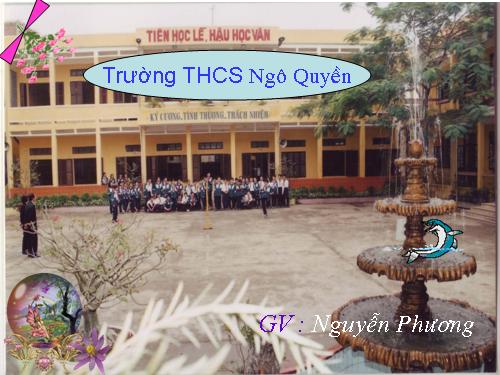 Bài 49. Đa dạng của lớp Thú: Bộ Dơi và bộ Cá voi