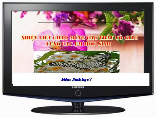 Bài 55. Tiến hoá về sinh sản