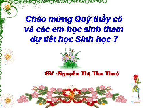 Bài 47. Cấu tạo trong của thỏ