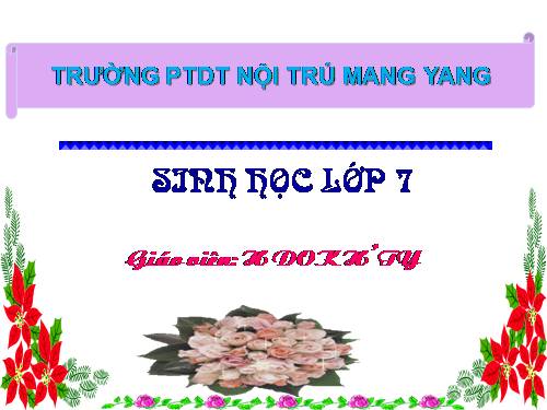 Bài 54. Tiến hoá về tổ chức cơ thể
