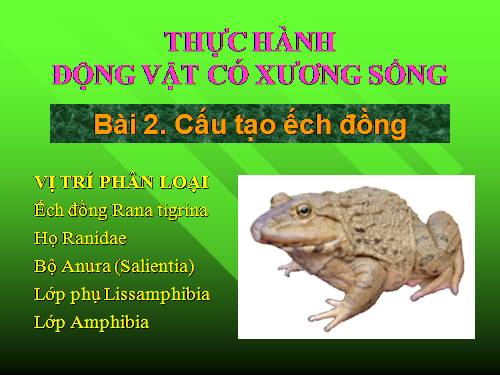 Bài 35. Ếch đồng