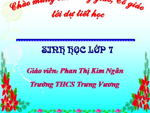 Bài 53. Môi trường sống và sự vận động, di chuyển