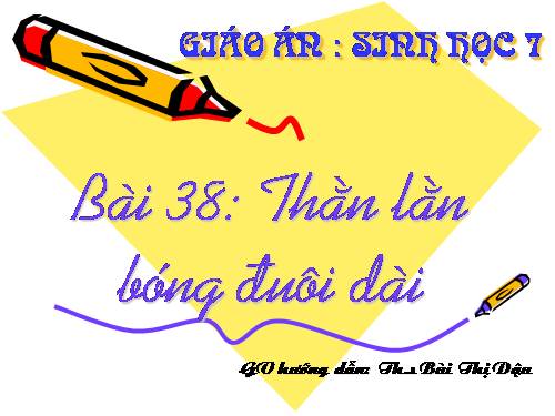 Bài 38. Thằn lằn bóng đuôi dài