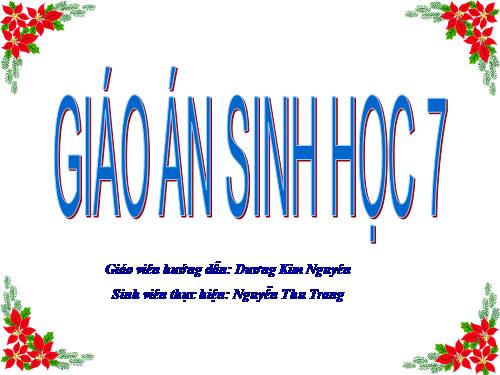 Bài 55. Tiến hoá về sinh sản