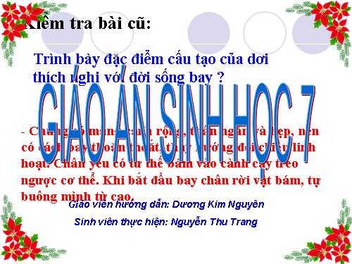 Bài 50. Đa dạng của lớp Thú: Bộ Ăn sâu bọ, bộ Gặm nhấm, bộ Ăn thịt