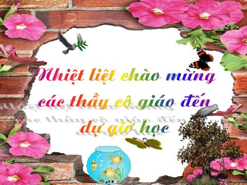 Bài 51. Đa dạng của lớp Thú: Các bộ Móng guốc và bộ Linh trưởng