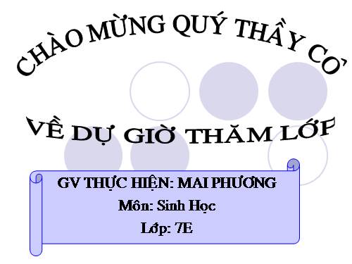 Bài 25. Nhện và sự đa dạng của lớp Hình nhện