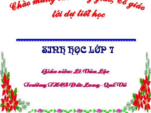 Bài 54. Tiến hoá về tổ chức cơ thể