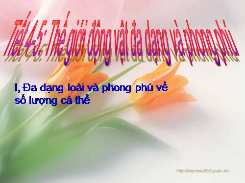MO HINH SINH HOC 7-  DU MOI LOAI