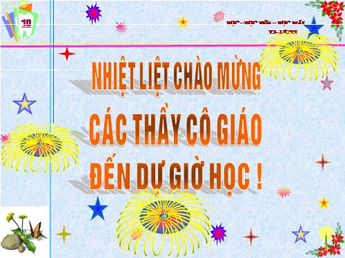 Bài 18. Trai sông
