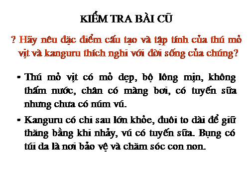 Bài 49. Đa dạng của lớp Thú: Bộ Dơi và bộ Cá voi