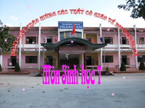 Bài 51. Đa dạng của lớp Thú: Các bộ Móng guốc và bộ Linh trưởng
