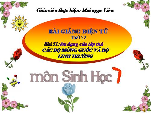 Bài 51. Đa dạng của lớp Thú: Các bộ Móng guốc và bộ Linh trưởng