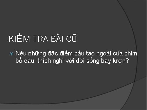 Bài 43. Cấu tạo trong của chim bồ câu