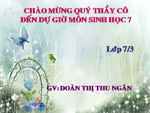 Bài 51. Đa dạng của lớp Thú: Các bộ Móng guốc và bộ Linh trưởng